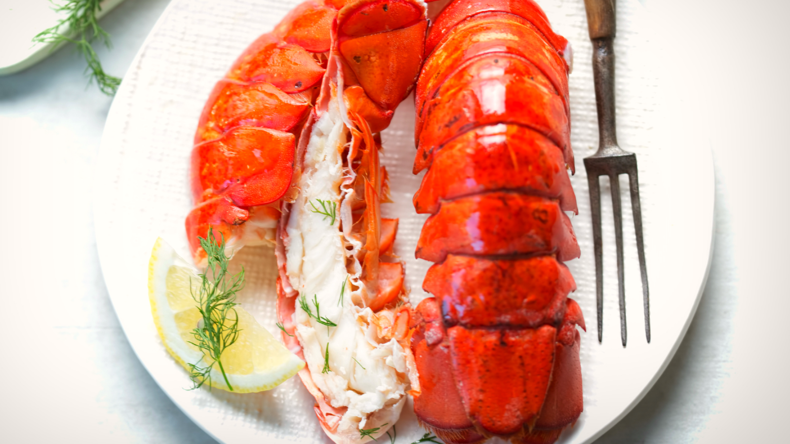 Gourmet Maine Cocktail Lobster Tails (3-4oz)