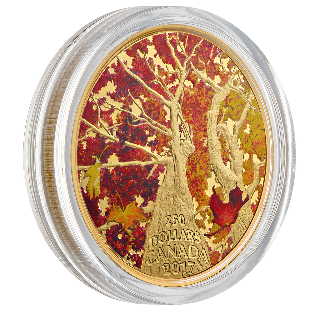Canada 2017 – 250$ Maple Canopy: Kaleidoscope of Colour II – 2 oz Pure Gold Coloured Coin
