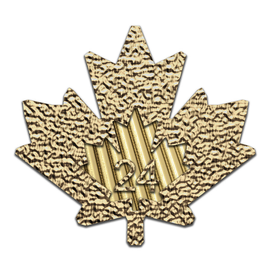 2024 1 OZ CANADIAN GOLD MAPLE LEAF
