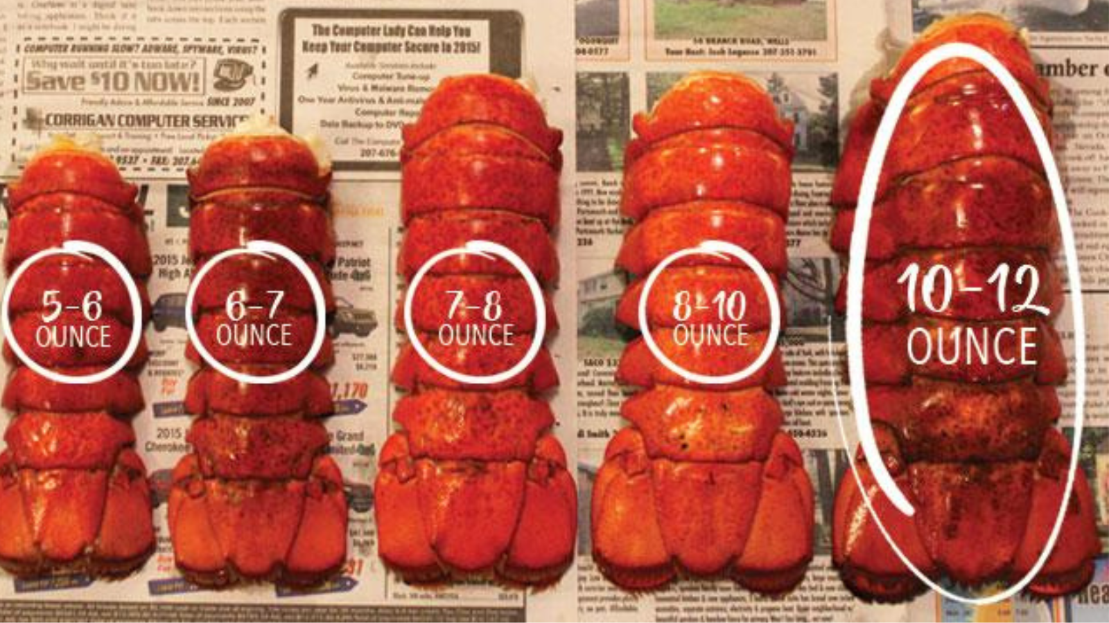 Colossal North Atlantic Lobster Tails (10-12 oz)