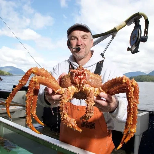 100% Wild King Crab - Probably the largest you've ever seen.
